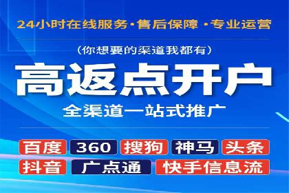 SEM推广策略的五大关键点及成功案例